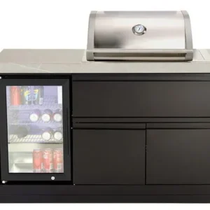 Mini kitchen with 2 Burner Gas BBQ