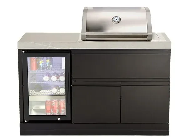 Mini kitchen with 2 Burner Gas BBQ