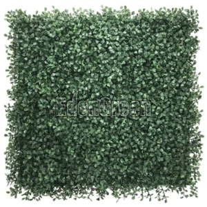 Boxwood 50*50cm