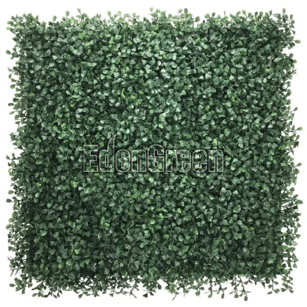 Boxwood 50*50cm