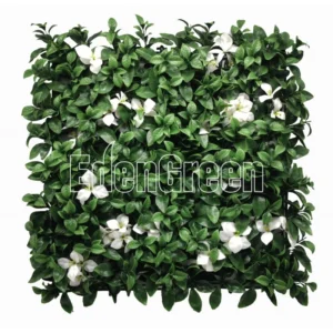 Gardenia White 50*50cm
