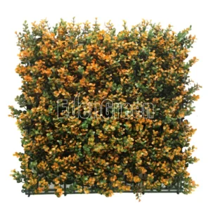 Buxus 50*50cm