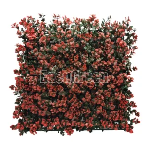 Pachysandra 50*50cm