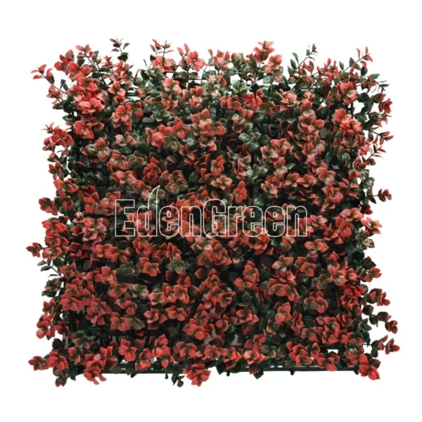 Pachysandra 50*50cm